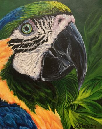 Mango - 11x14 - Vendu